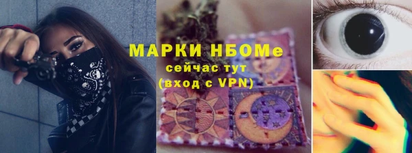 гидра Горняк