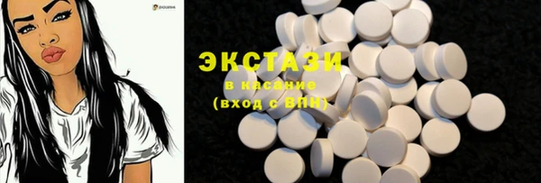 гидра Горняк