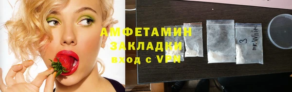 гидра Горняк