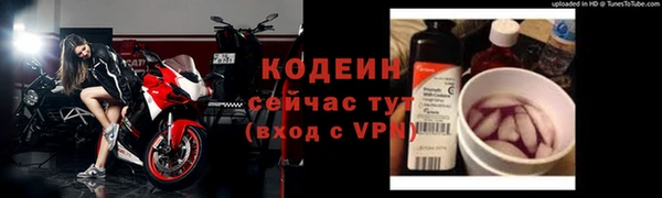 гидра Горняк