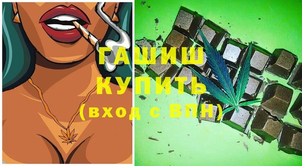 гидра Горняк