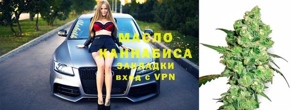 гидра Горняк