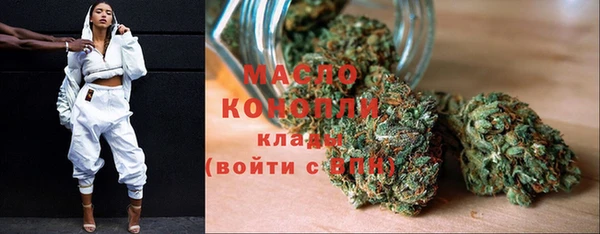 гидра Горняк