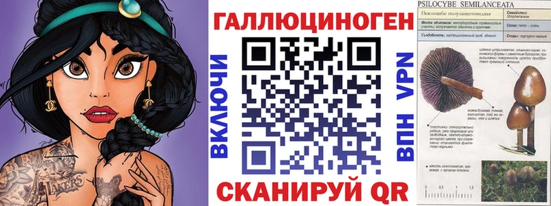 Галлюциногенные грибы Psilocybine cubensis  Купить где  Шумерля 